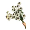 White parsley bouquets, fresh flower arrangements, decorative items for the living room, bedroom, and tabletop Item Picture